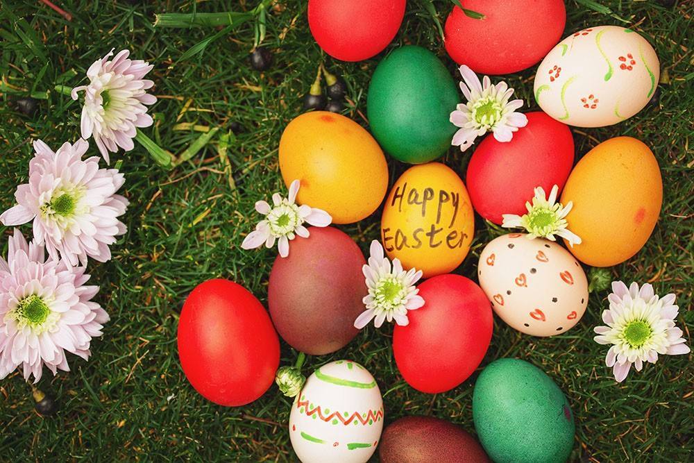 SUNLU Easter Post-Festival Event Finally, comes to the end! - SUNLU Official Online Store|Best 3D Filament Best Selling Supplier & Manufacturer